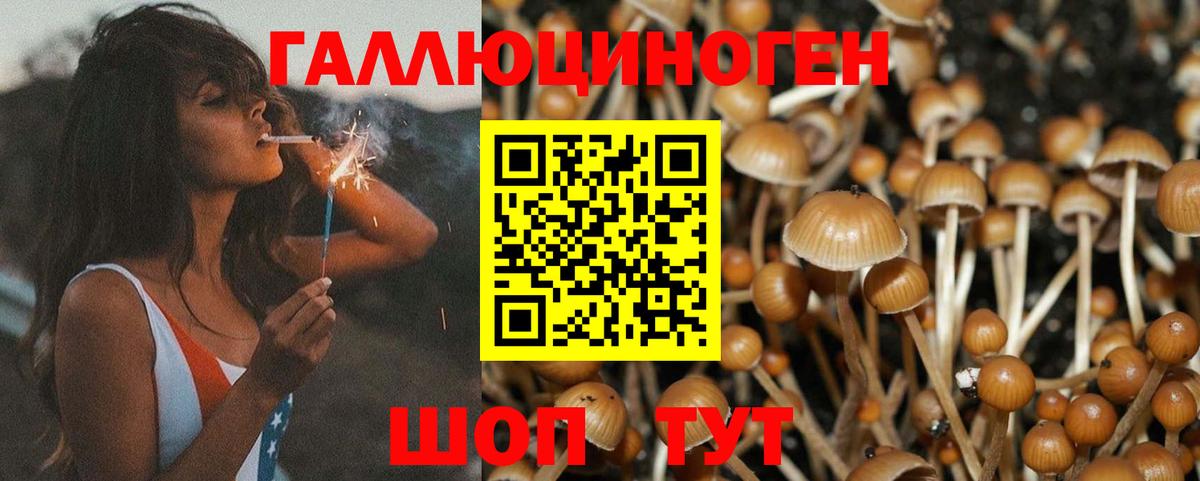Валуйки  Псилоцибиновые грибы MAGIC MUSHROOMS  Псилоцибиновые грибы MAGIC MUSHROOMS  Вход с VPN 